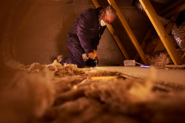 Best DIY Insulation Kits and Guidance in Clearview, WA